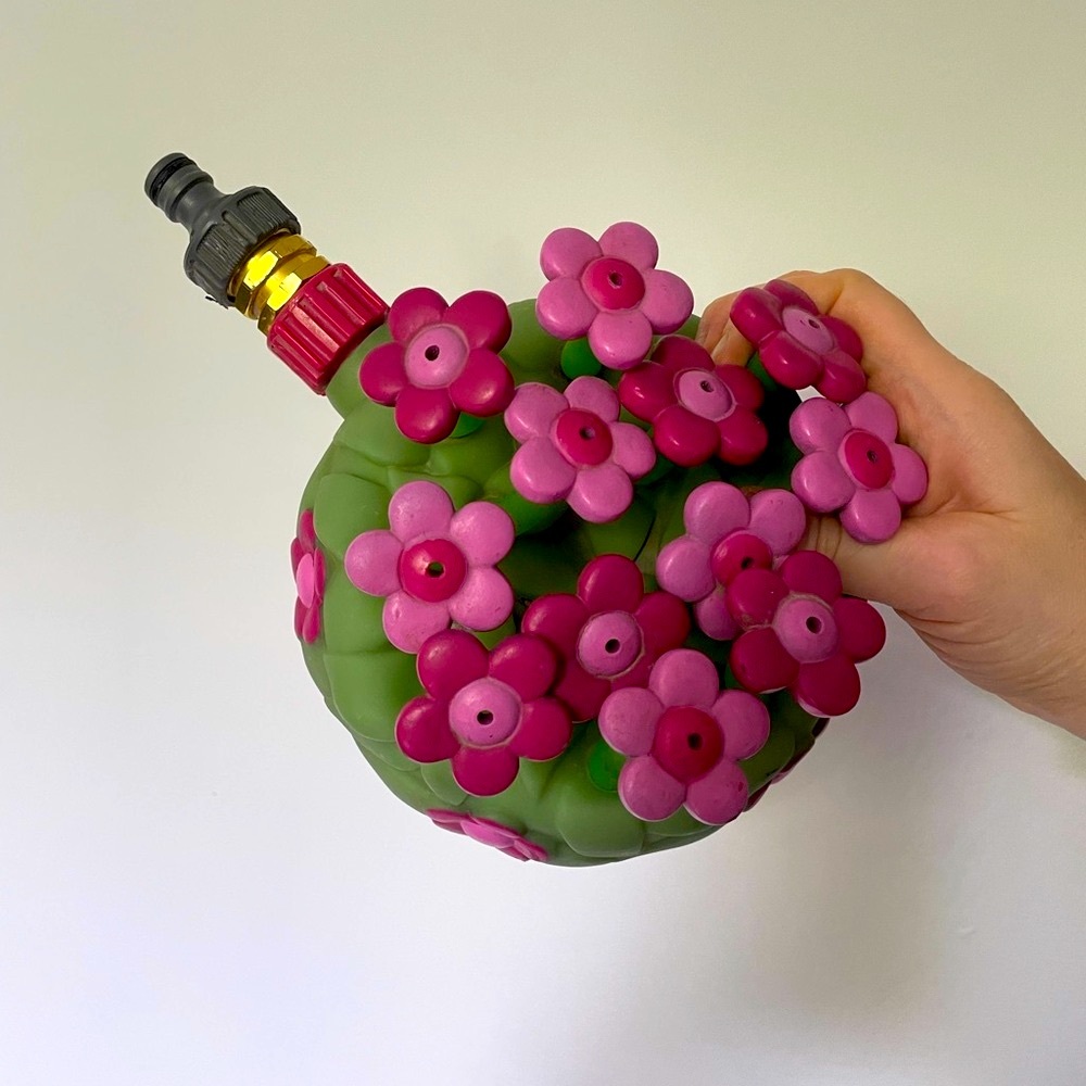 Pink and Green flowers outside sprinkler
